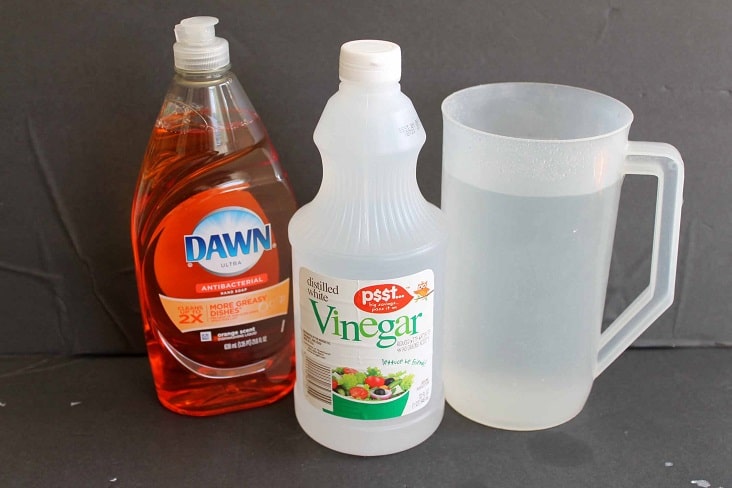 Dishwashing detergent + White Vinegar + Water