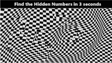 optical illusion