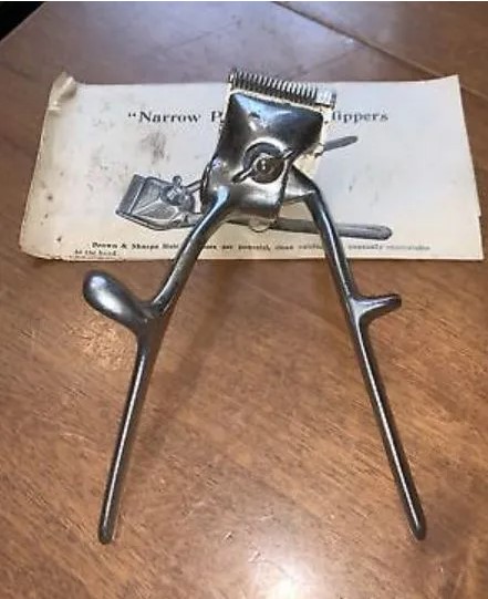 The Historic Artifact That Paved The Way For Modern Grooming Techniques4