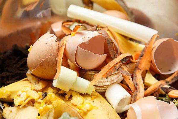 Don’t toss those eggshells