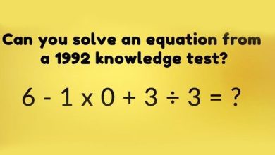 453876010 470329695811855 6480912693627424829 n