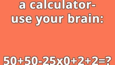 455215904 475207328657425 446690105392971936 n