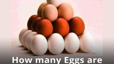 How Many Eggs Can You See 600 x 503 px