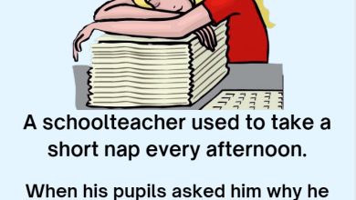 Super Funny The Sleepy Teacher A schoolteacher used to take a short nap every afternoon2