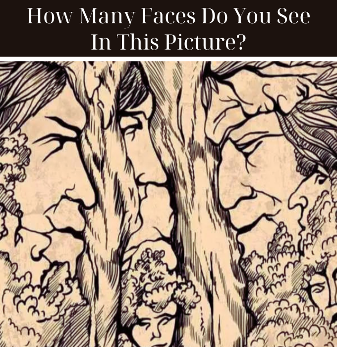 You Might Just Be The Owner Of A Perfect Vision If You Can Swiftly Spot More Than Three Faces In This Picture