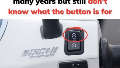 Bought A Motorbike For Many Years But Still Dont Know What The Button Is For e1725502303468