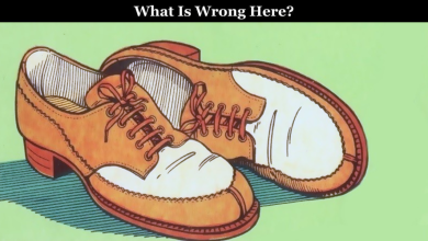 Can You Spot The Mistake In These Shoes In 10 Seconds4