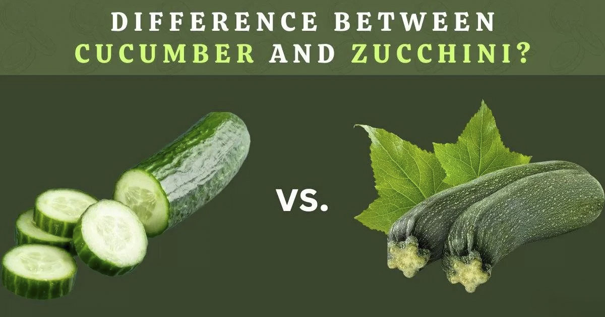 Difference Between Cucumber and