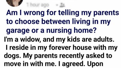 I Asked My Older Parents To Decide If They Want To Stay In My Garage Or Go To A Nursing Home e1725213790740