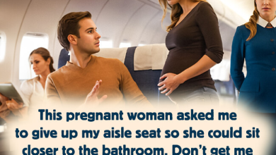 I Refused To Give Up My Seat on the Plane to a Pregnant Woman Was I Wronge e1726947582171