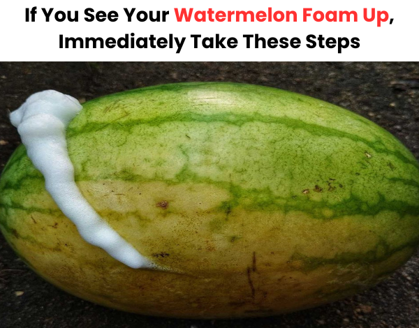 If You See Your Watermelon Foam Up Immediately Take These Steps