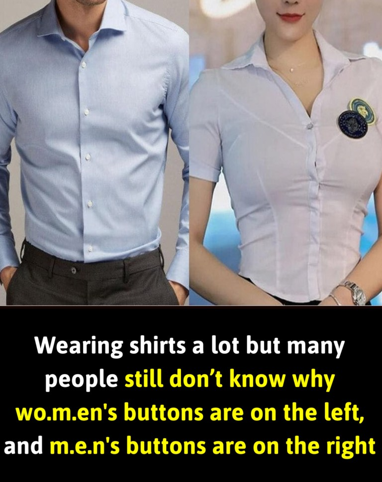 Many People Wear Shirts Often