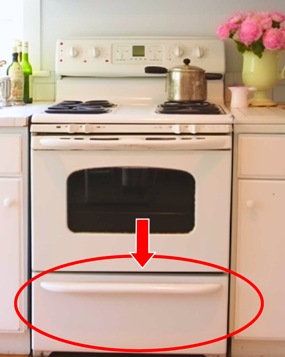 Most Folks Get This Wrong. What Is The Drawer Underneath The Stove Actually Used For 1