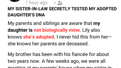 My Sister in Law Secretly Tested My Adopted Daughters DNA e1726460085271