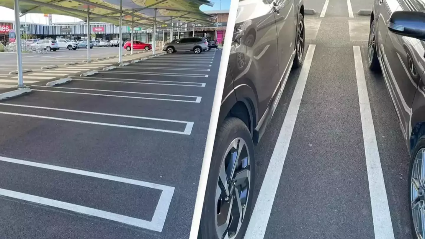 People Think That The Genius Parking Lot Feature At The Mall Should Be Used Everywhere