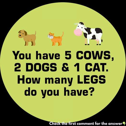 Riddle You Have 5 Cows 2 Dogs 1 Cat How Many Legs Do You Have