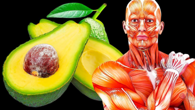 What Can Happen to Your Body If You Start Eating an Avocado a Day for 30 Days