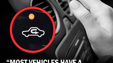 When To Use And Avoid Your Cars Air Recirculation Button