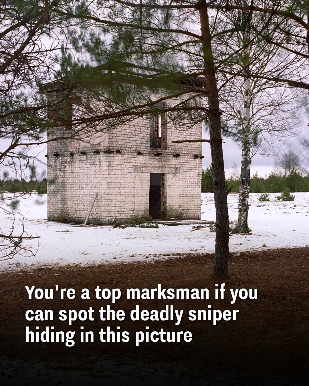 Youre A Top Marksman If You Can Spot The Deadly Sniper Hiding In This Picture