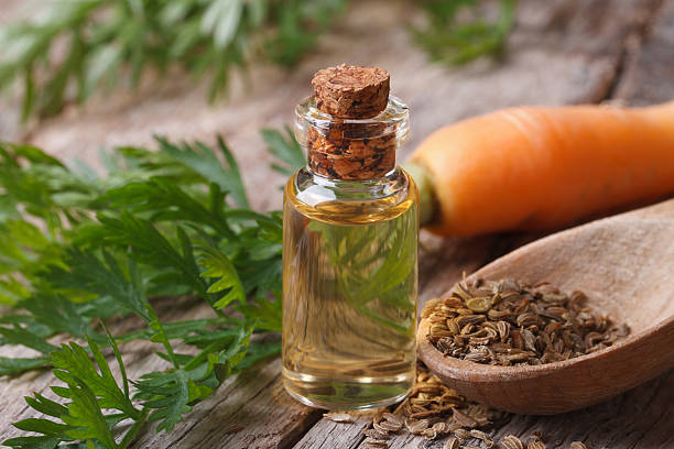 10 Benefits and Uses of Carrot Seed Oil 1200x1200 1