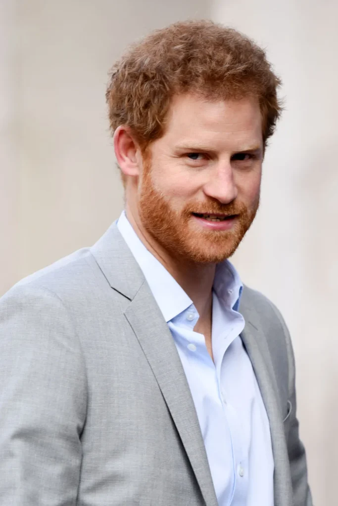 Harry Sussex 2017 683x1024 1