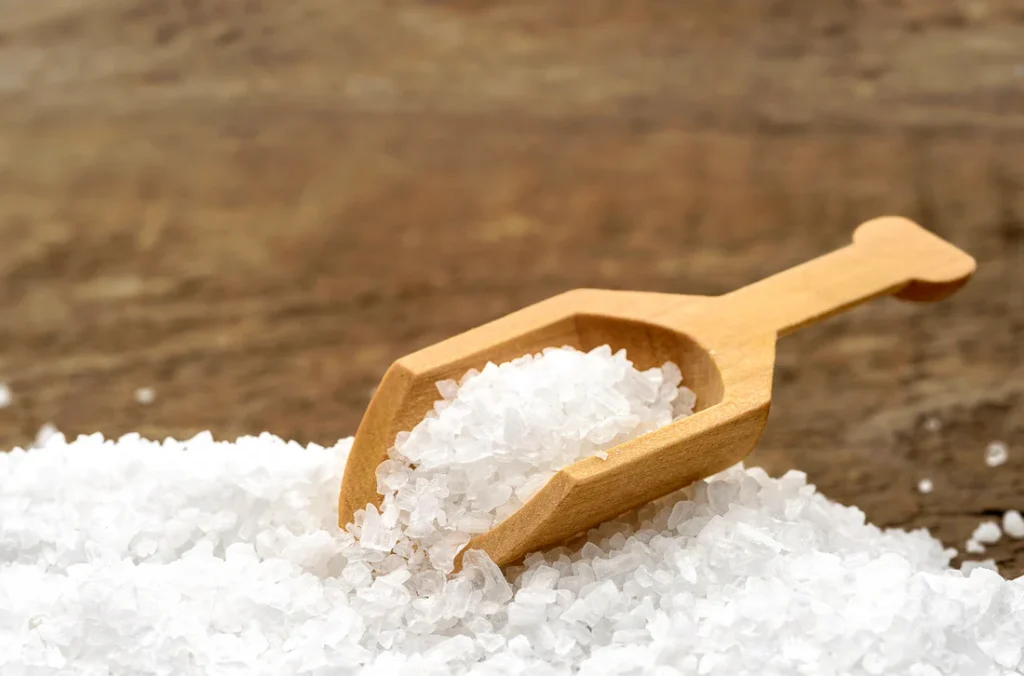 Sea Salt Blog Header 1 1024x676 1