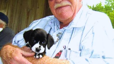 Abandoned Puppy Becomes the Angel a Grieving Old Man Prayed Forthumb