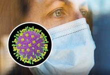 Experts who predicted covid say new virus