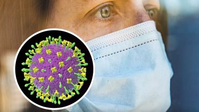 Experts who predicted covid say new virus