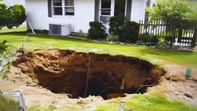 I Came Home from Vacation to Find a Huge Hole Dug in My Backyard1