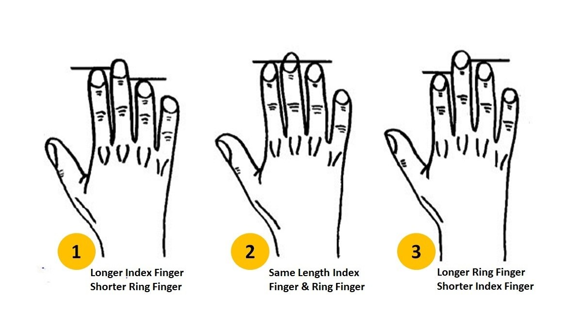 finger length personality test c