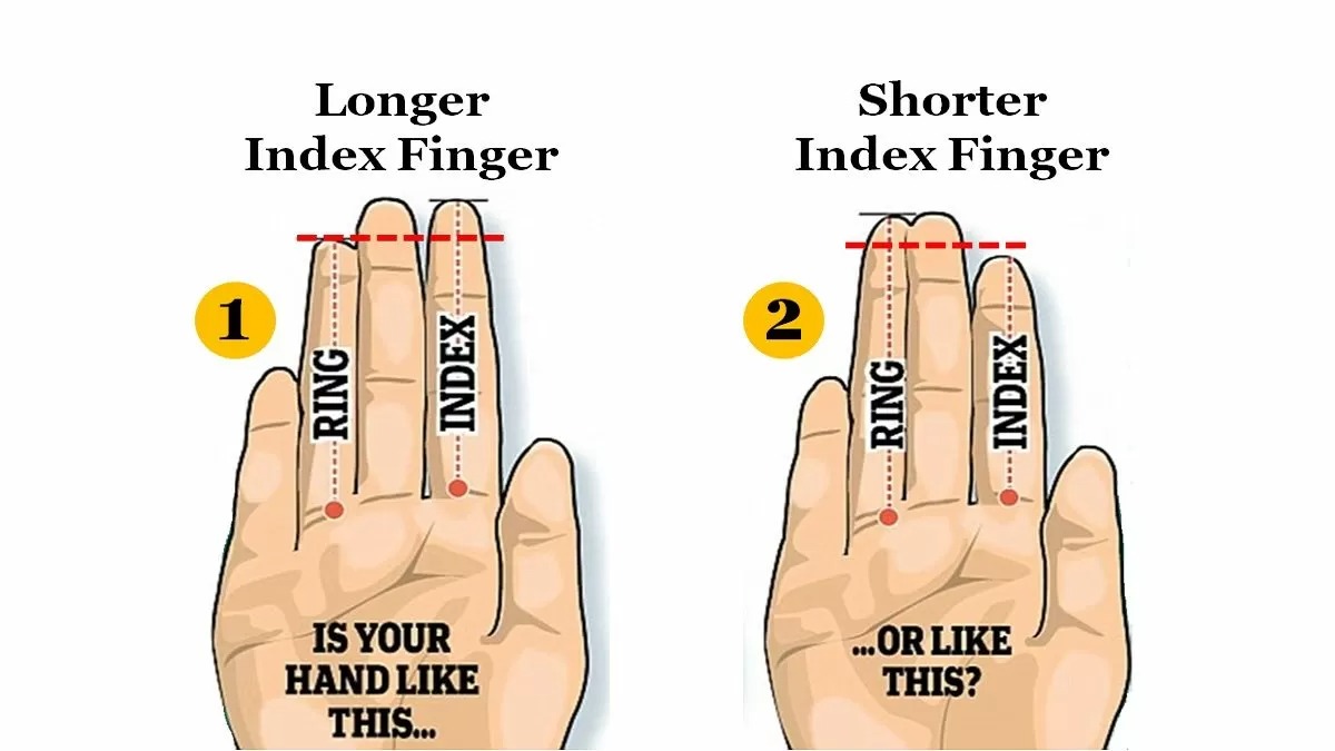 what does your index finger say